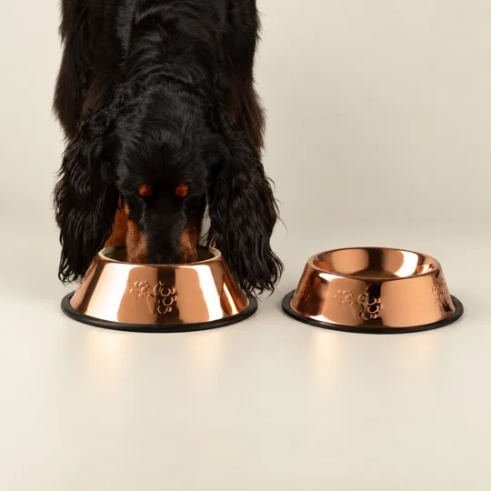 PAW Food Bowls - Single Copper Style - 22cm - Stainless Steel (304)