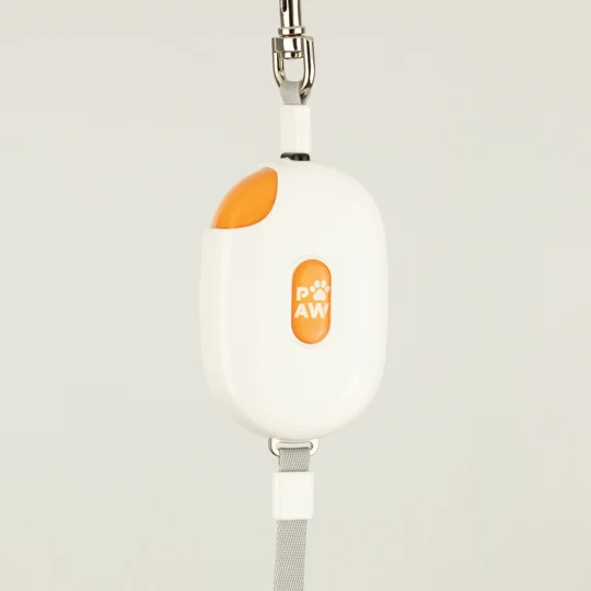 Paw Pet Leash - Pocket Pod - White - 1.5m