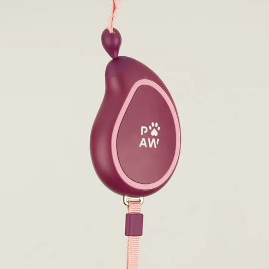 Paw Pet Leash - Mini Mango - Plum - 3m