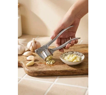 Stainless Steel Garlic Press
