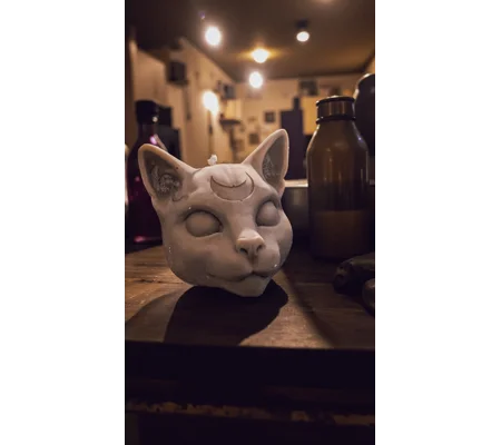 Sphynx Cat Moon