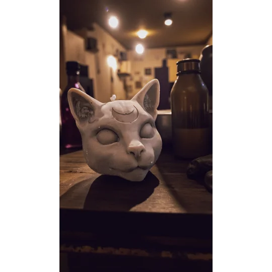 Sphynx Cat Moon