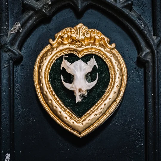 Skull Art
