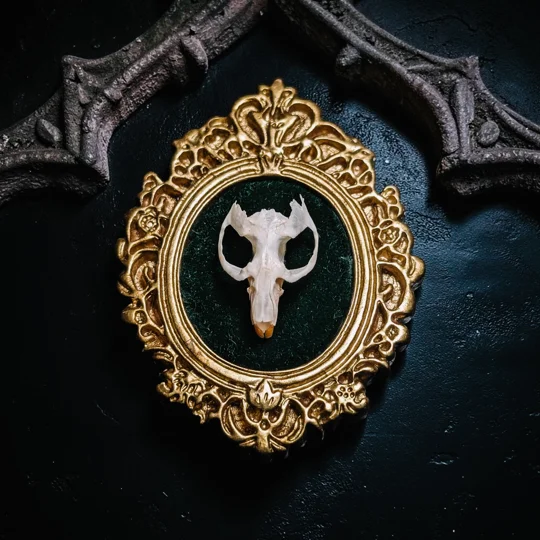 Skull Art