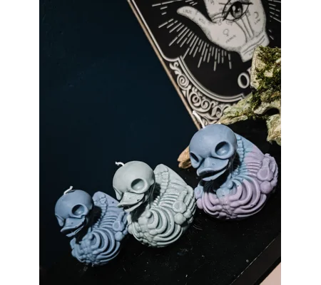 Skelly Duck