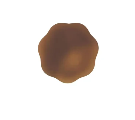 Peekaboos Self Adhesive Silicone Nipple Covers Brown