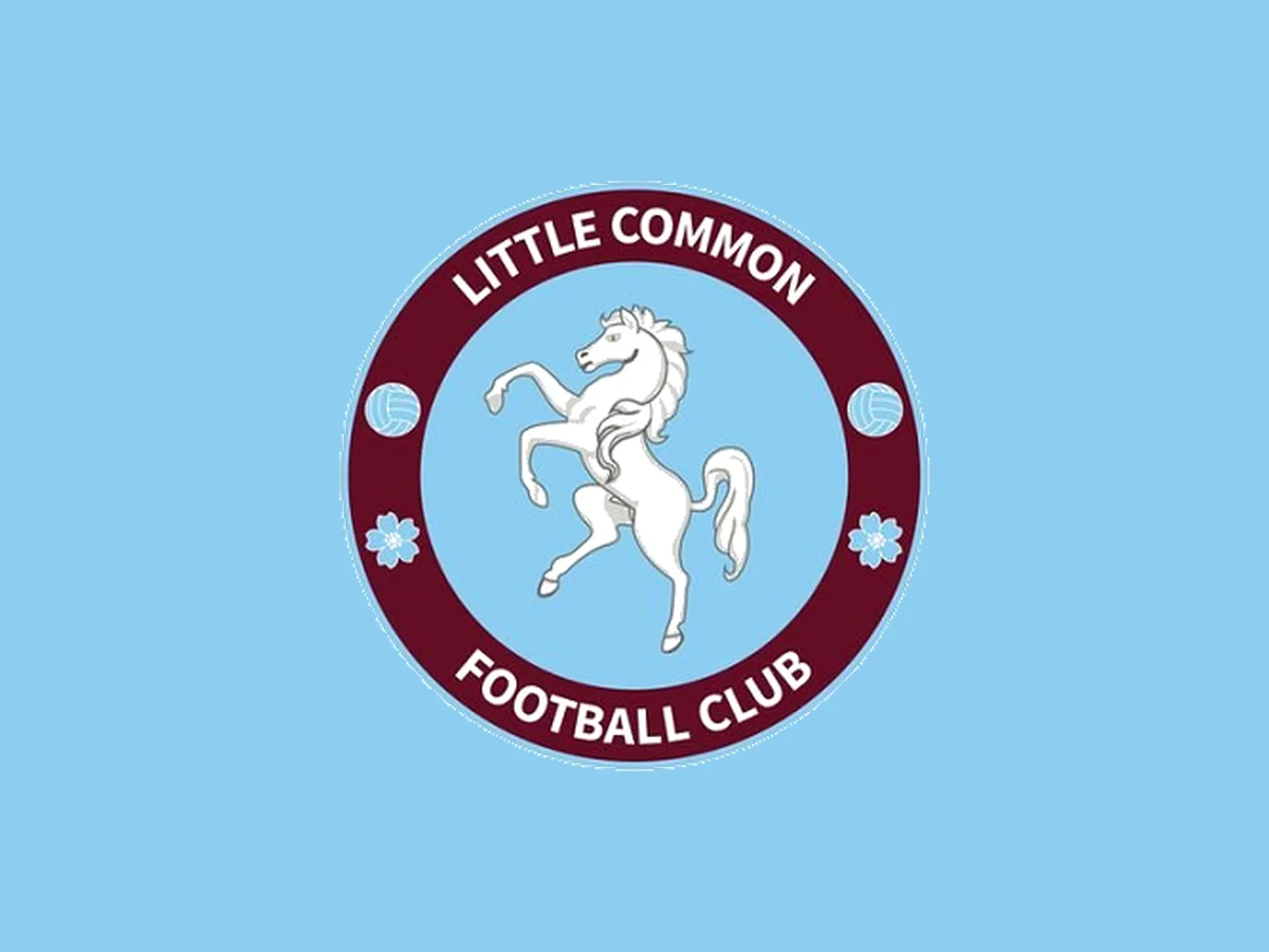 Lcfccrestsky 1793282167034