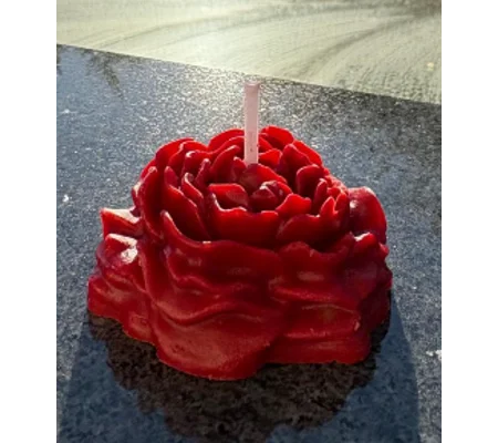 Red Rose