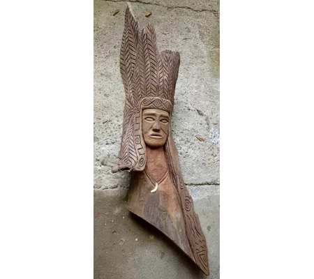Pochote Shaman
