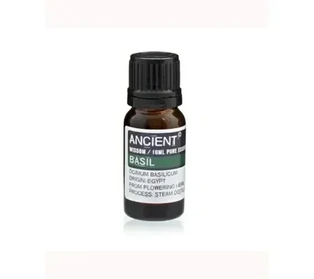 Basil 10ml Essential Oil