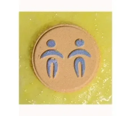 Box of 2 Zodiac Bath Fizzers with Horoscope - Gemini