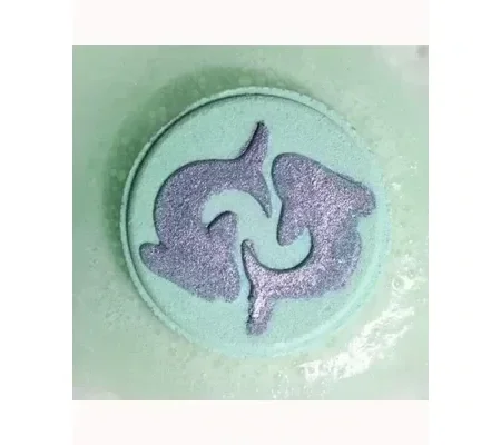 Box of 2 Zodiac Bath Fizzers with Horoscope - Pisces