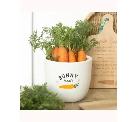 Bunny Treats Ceramic Pot