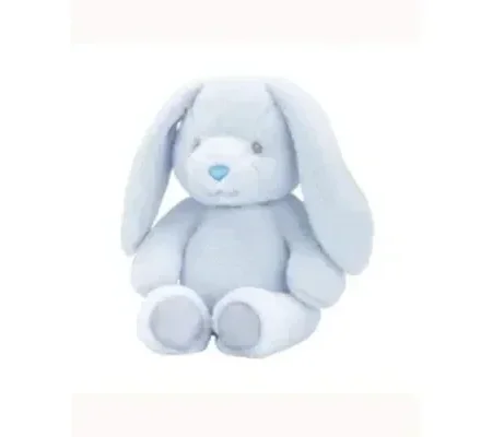 Bunny Soft Toy