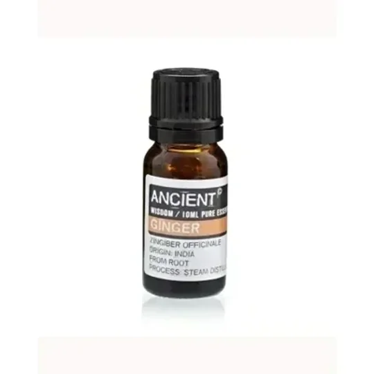 Ginger Essential Oil