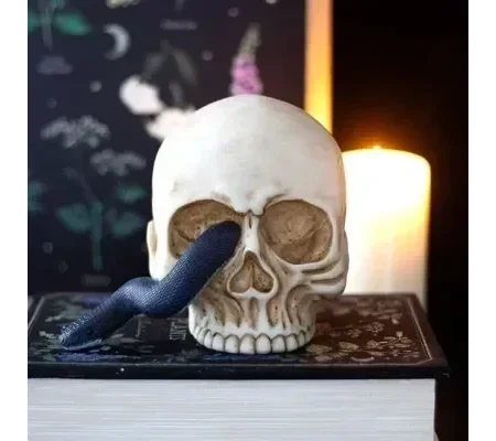 Skull Ornament with Snake