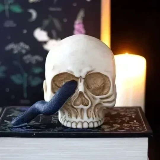 Skull Ornament with Snake