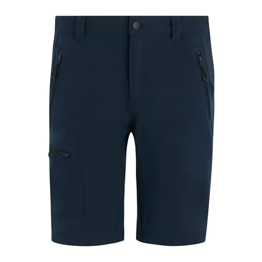 Regatta Professional Prolite stretch shorts