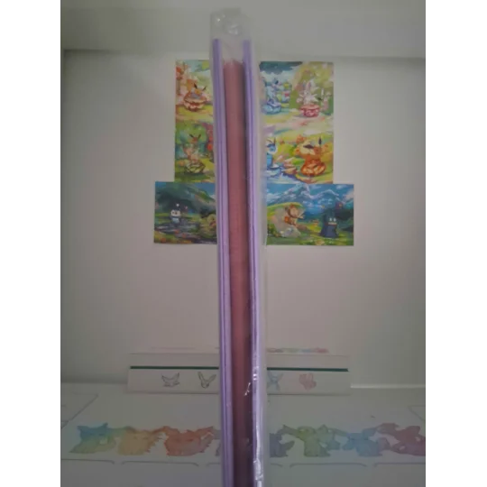 Espeon trading card binder, 12-pocket