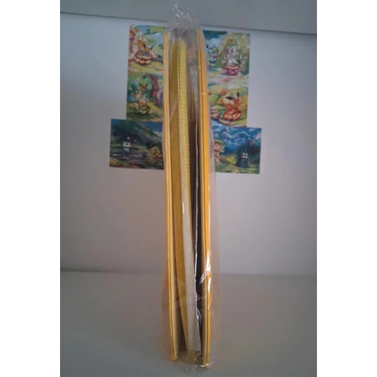 Jolteon trading card binder, 12-pocket