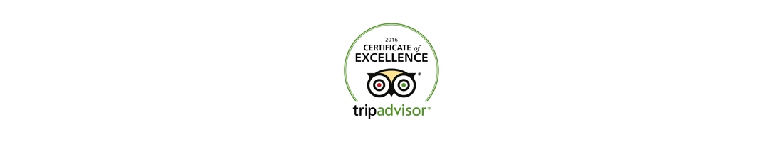 Certificate of Excellence 2016