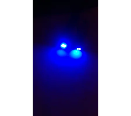 2 x 501 T10 BLUE Wedge White SMD Parking Light & No. Plate Bulbs LED
