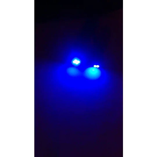 2 x 501 T10 BLUE Wedge White SMD Parking Light & No. Plate Bulbs LED