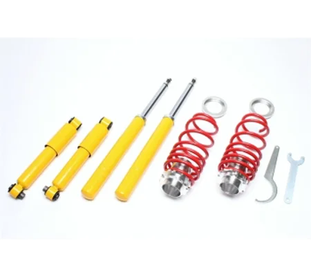 Citreon Saxo Peugeot 106 TECHNIX EVO COILOVERS ADJUSTABLE SUSPENSION NEW