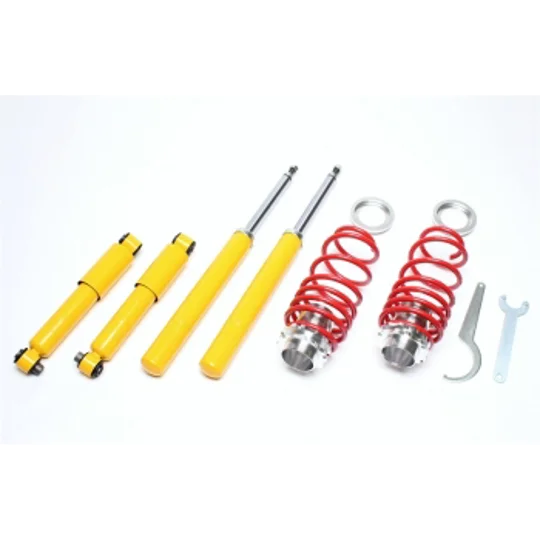 Citreon Saxo Peugeot 106 TECHNIX EVO COILOVERS ADJUSTABLE SUSPENSION NEW