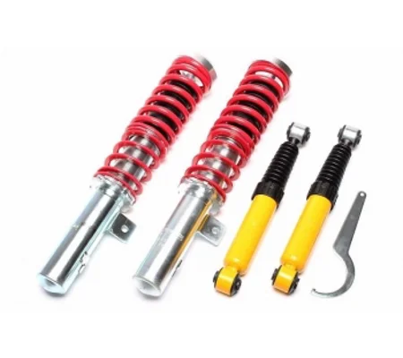 Citreon Xsara Peugeot 306 TECHNIX EVO COILOVERS ADJUSTABLE SUSPENSION NEW