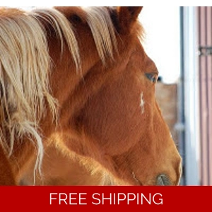 Matted Pet Hair Remover For Horses