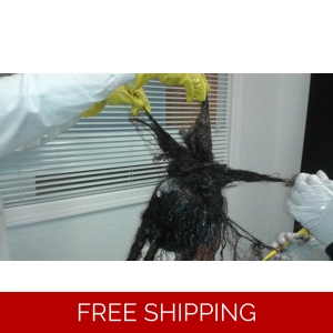 1 Day Mobile Matted Hair Detangler Tech Service.