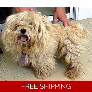Matted Pet Hair Remover For Dogs
