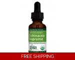 Gaia 无公害的紫锥菊organic echinacea