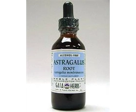 Astragulas root 黄芪滴剂30毫升