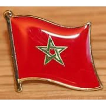 Moorish Laple Flag Pin (Tota..