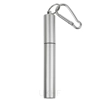 Steel - Collapsible Straw - Silver