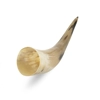 Drinking Horn (No Handle) - 300-350ml