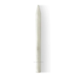 Pen for Slate - White