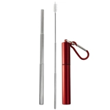 Steel - Collapsible Straw - Red