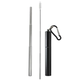 Steel - Collapsible Straw - Black