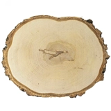Birch Wood - Plain (20-24cm x 2.5cm)