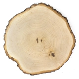 Birch Wood - Plain (28-33cm x 2.5 cm)