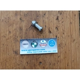 Magura lever pivot screw and nut 5x17...