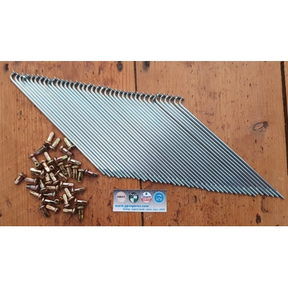 FS1/FS1E front spoke set for drum brake wheel (gold colour nipples).