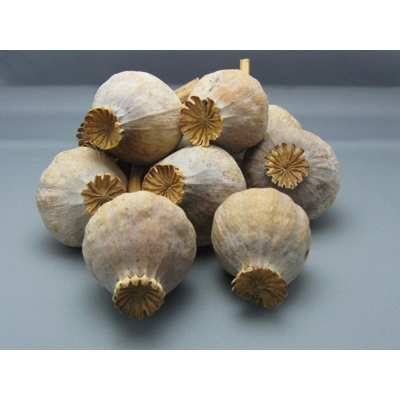 DF3 Dried Flower assortment 3lbs nett