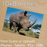 Photo Prints 10 x 8 (Hassle Free)
