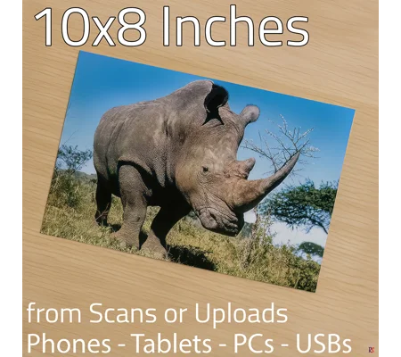 Photo Prints 10 x 8 (Hassle Free)