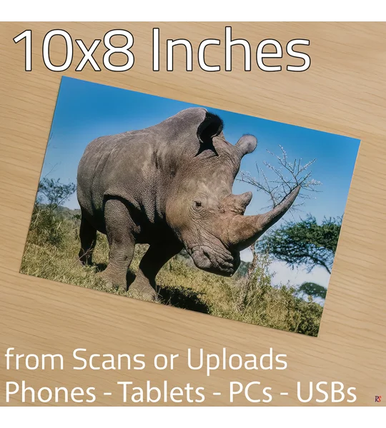 Photo Prints 10 x 8 (Hassle Free)