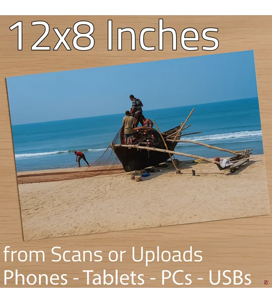 Photo Prints 12 x 8 (Hassle Free)